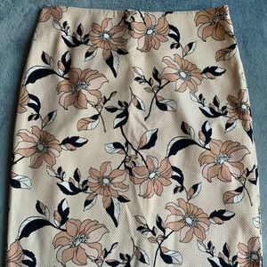 Ann Taylor Skirt
